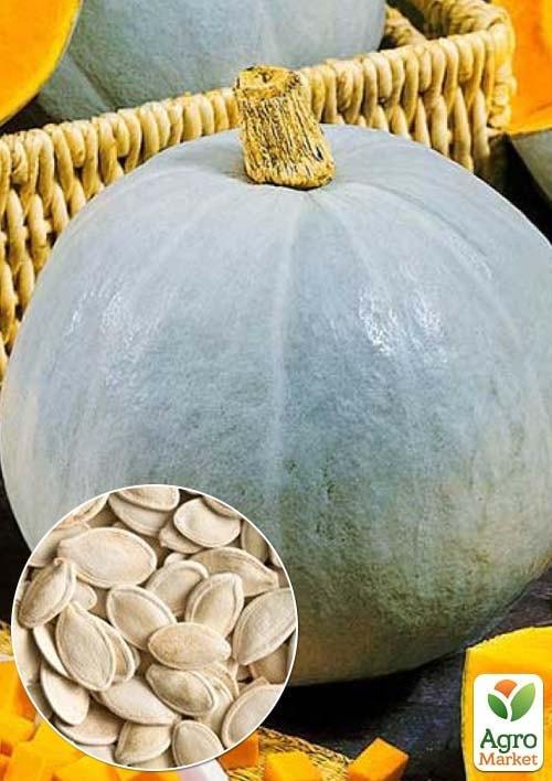 На развес Тыква "Грибовская зимняя" ТМ "Весна" цена за 10г