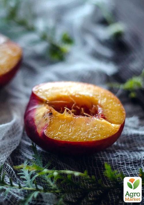 Нектарин "Супер Квин" (лысый персик, летний сорт, ранний срок созревания) - фото 6