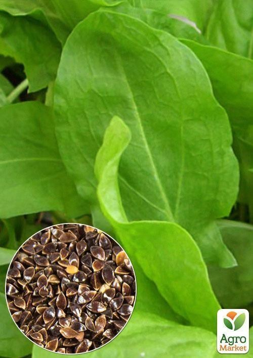 На развес Щавель "Бельвильский" ТМ "Весна" цена за 6г