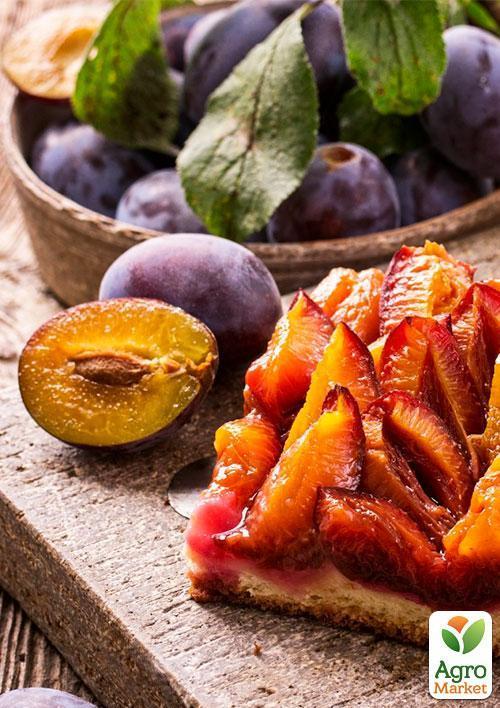 Слива "Любимица Султана" (летний сорт, средний срок созревания) - фото 4