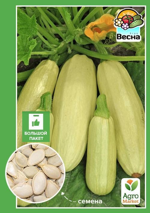 Кабачок "Одеський" (Великий пакет) ТМ "Весна" 5г