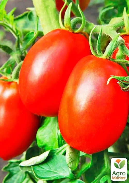 На развес Томат "Арабат" ТМ "Весна" цена  за 1г - фото 2