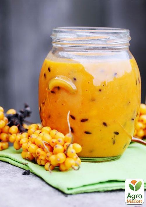 Обліпиха "Чуйська солодка" (хлопчик + дівчинка) комплект 2шт (ранній термін дозрівання) - фото 6