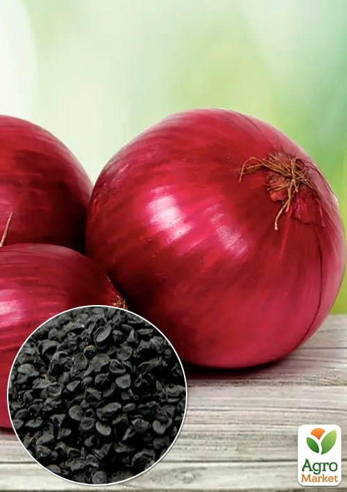 Лук "Веселка" (Зипер) ТМ "Весна" 3г