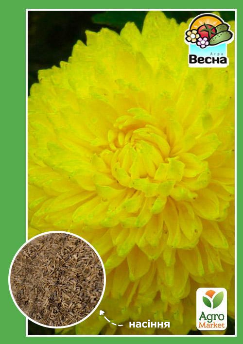 Айстра "Карликова жовта" ТМ "Весна" 0.2г