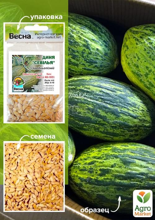 Диня "Севілья" (Зипер) ТМ "Весна" 3г