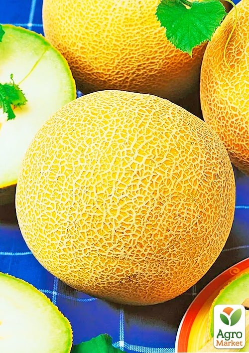 Дыня "Золотистая" (Большой пакет) ТМ "Весна" 2,5г - фото 2