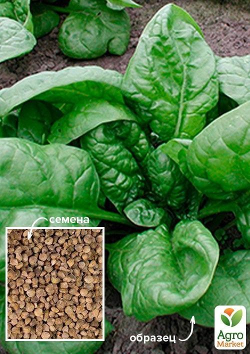 Шпинат "Жирнолистний" ТМ "Весна" 500г