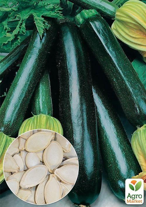 На развес Кабачок "Черный красавец" ТМ "Весна" цена за 8г