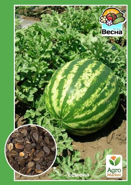 Арбуз "Волшебник" ТМ "Весна" 1.5г