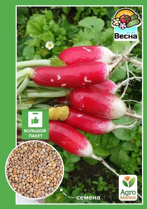 Редис "Богиня" (Большой пакет) ТМ "Весна" 7г