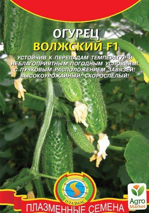 Огірок "Волзький F1" ТМ "Плазмові насіння" 7шт