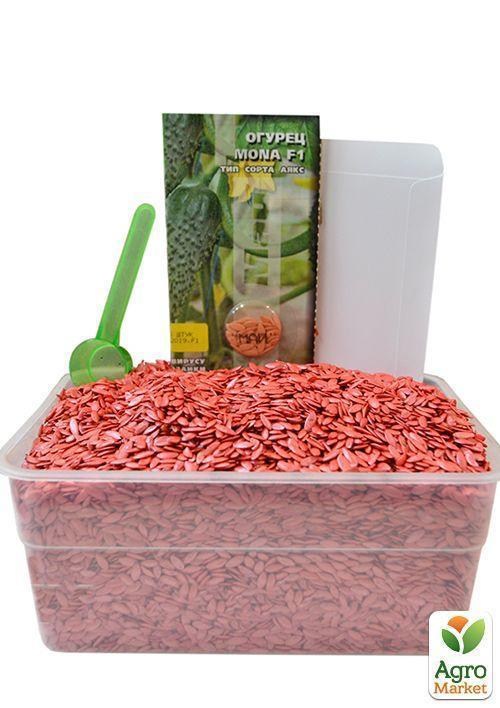 На вагу Огірок "Мона F1" ТМ "Весна" ціна за 1г - фото 2