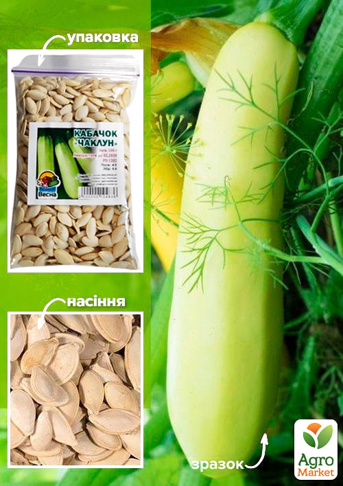 Кабачок "Чаклун" ТМ "Весна" 100г