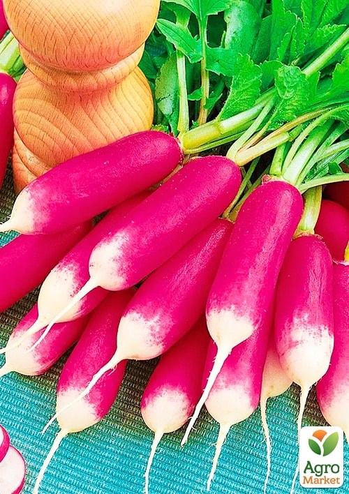 Редис "Базис" (Великий пакет) ТМ "Весна" 6г - фото 2