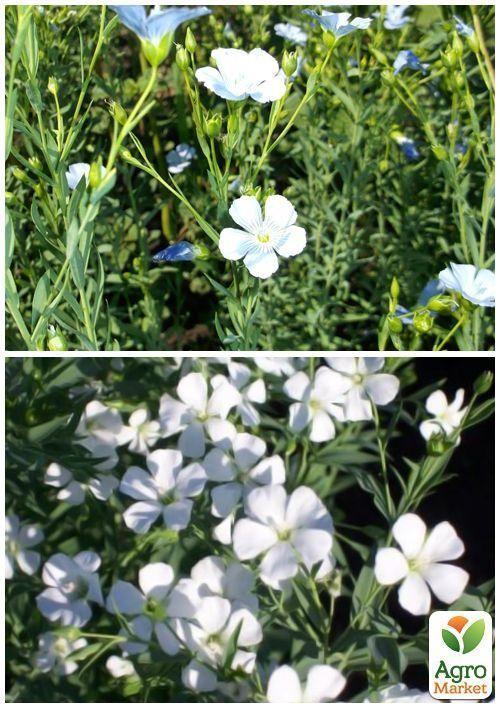 На развес Лен белый ТМ "Весна" цена за 3г - фото 5