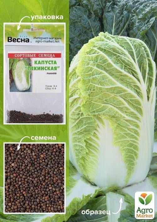 Капуста "Пекінська" (Зипер) ТМ "Весна" 1г