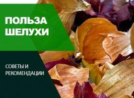 Відвар з лушпиння цибулі - корисні статті про садівництво від Agro-Market