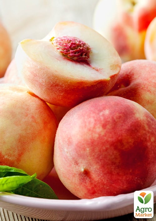 Персик "Фреш Вайт" (белая мякоть, средний срок созревания) - фото 5