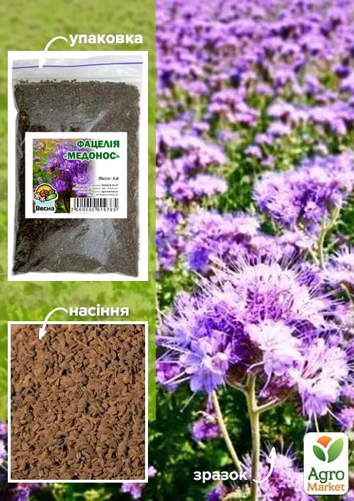 Фацелія "Медонос" ТМ "Весна" 100г
