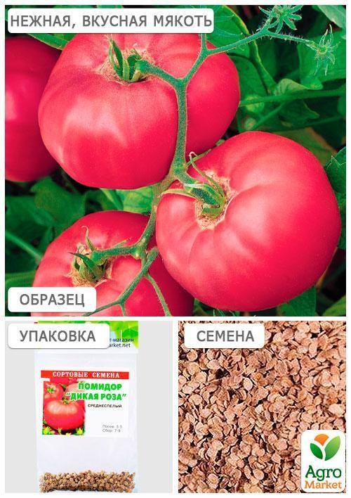 Томат "Дика троянда" (Зипер) ТМ "Весна" 0.5г - фото 4