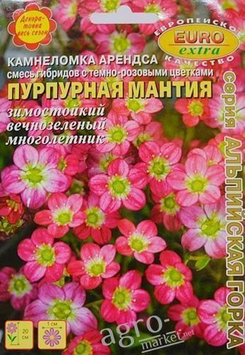 Камнеломка "Пурпурная мантия" ТМ "АЭЛИТА" 0.03г