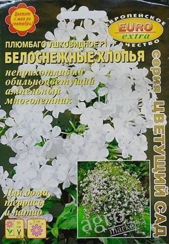 Плюмбаго ушковидная F1 "Білосніжні пластівці" ТМ "Аеліта"