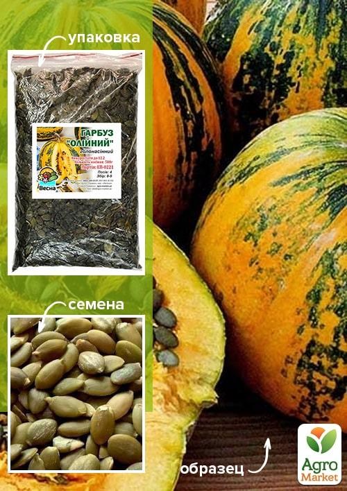 Гарбуз "Масляний" ТМ "Весна" 500г