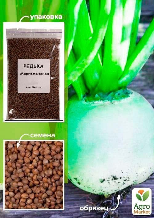 Редька Маргеланська ТМ "Весна" 500г