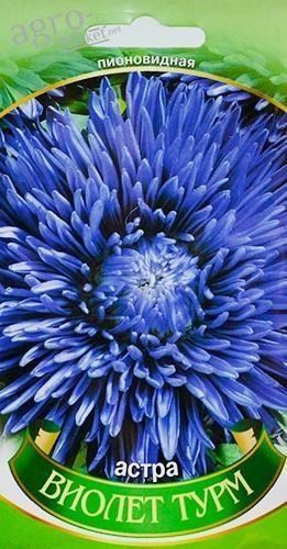 Астра "Виолет Турм" ТМ "Весна" 0.2г - фото 2
