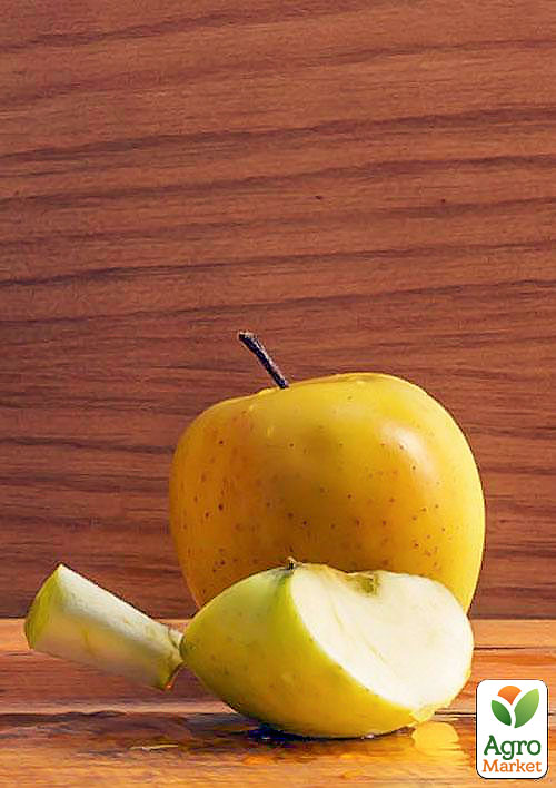 Яблоня "Богемия Голд" (зимний сорт, поздний срок созревания) - фото 6