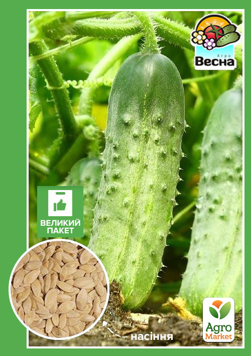 Огірок "Роднічок F1" (Великий пакет) ТМ "Весна" 1.5г