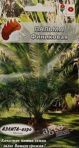 Пальма "Фінікова" ТМ "АЕЛІТА" 2шт