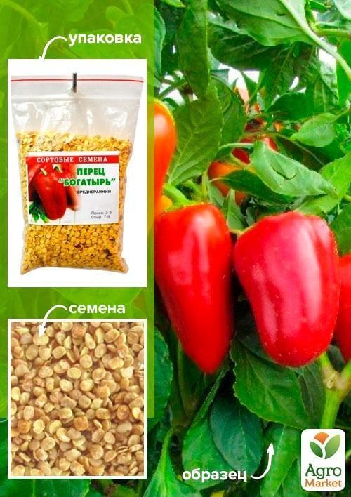 Перец "Богатырь" ТМ "Весна" 100г - фото 2