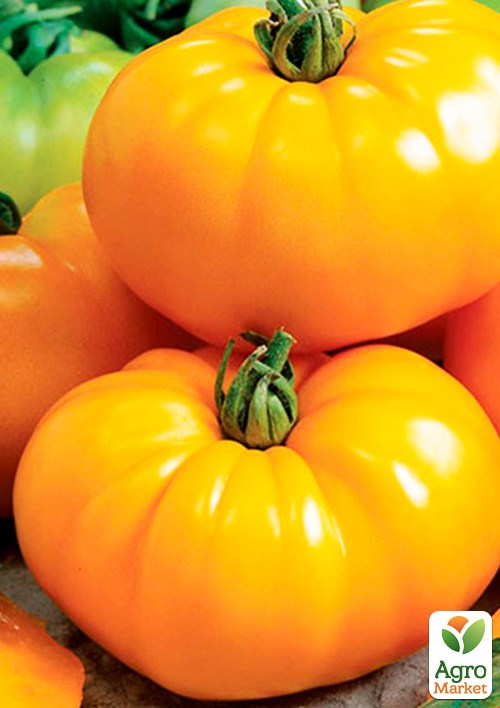 Томат "Волове серце жовтий" (Зипер) ТМ "Весна" 0.5г - фото 2