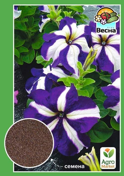 Петуния "Синяя звезда" ТМ "Весна" 0.3г
