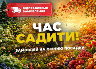 Час садити. Відправляємо Ваші замовлення!