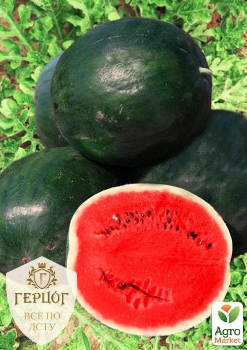 Арбуз "Герцог" "Огонек" ТМ "Весна" 4г
