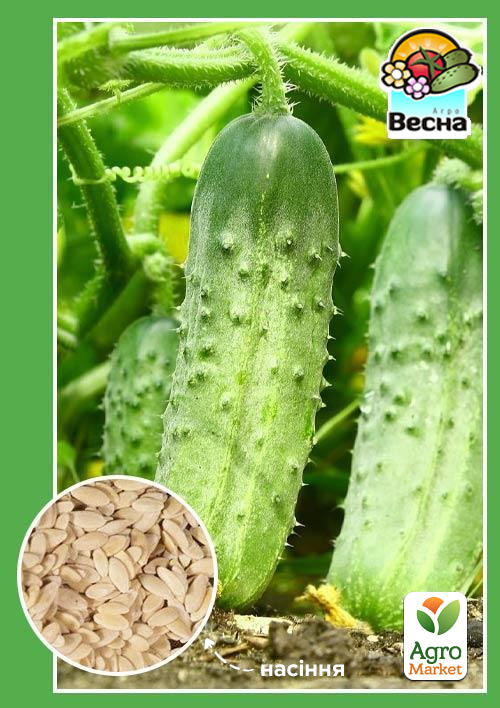 Огурец "Родничок F1" ТМ "Весна" 0.5г