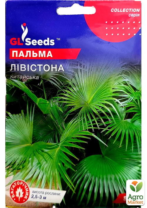 Пальма китайская "Ливистона" ТМ "GL SEEDS" 5шт