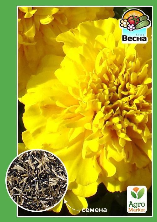 Бархатцы "Золотой улей" ТМ "Весна" 0.3г