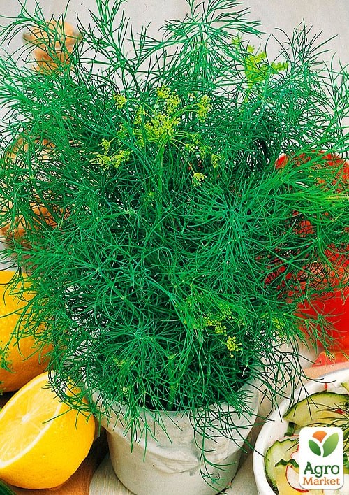 На развес Укроп "Санат" ТМ "Весна" цена за 20г - фото 2
