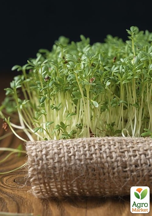 На развес Кресс-салат "Микрогрин" ТМ "Весна" цена за 3г - фото 2