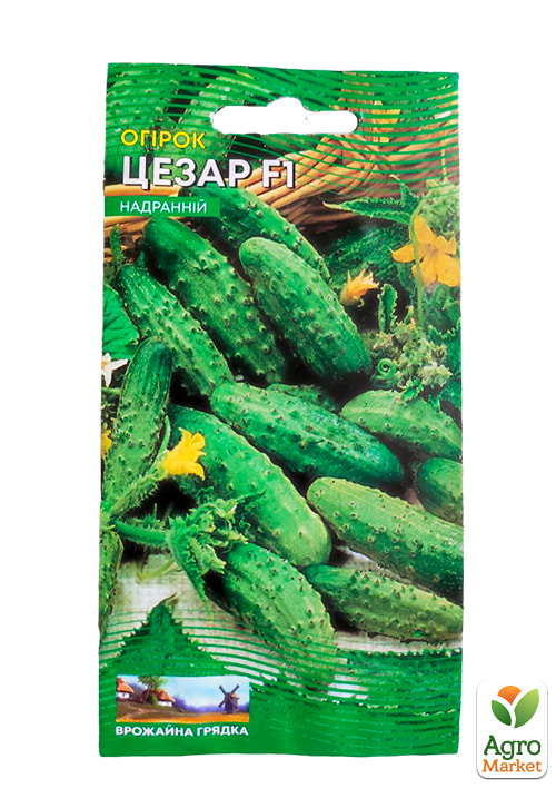 Огірок "Цезар F1" ТМ "Весна" 0.5г - фото 2