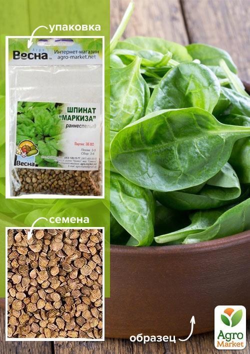 Шпинат "Маркиза" (Зипер) ТМ "Весна" 5г