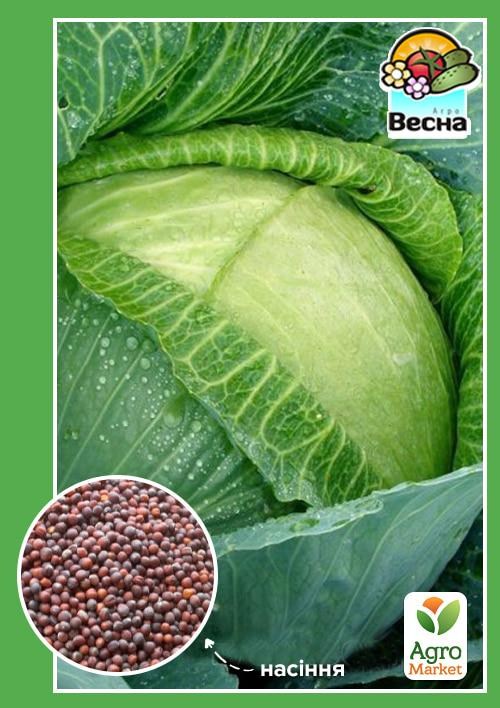 Капуста "Тюркиз" ТМ "Весна" 0.5г