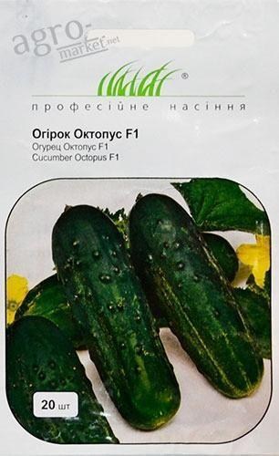 Огірок "Октопус F1" ТМ "Hem Zaden" 20шт