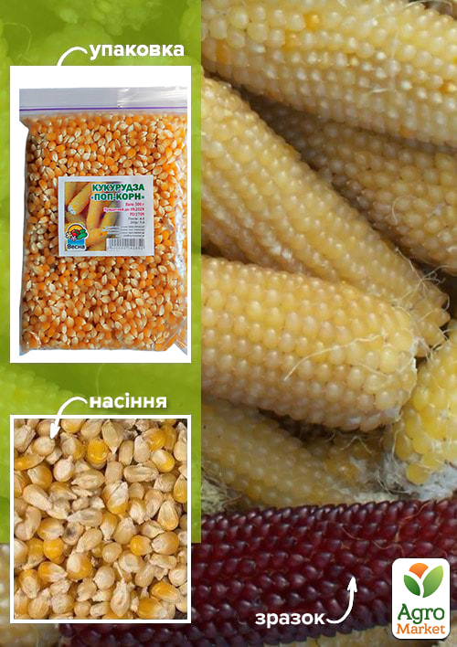 Кукурудза "Поп-корн" ТМ "Весна" 500г