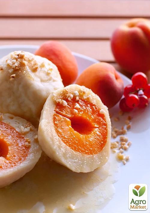 Абрикос "Робада" (летний сорт, ранний срок созревания) - фото 6