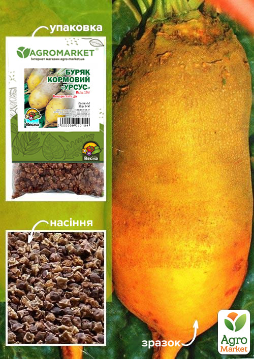Свекла кормовая "Урсус" (Зипер) ТМ "Весна" 10г